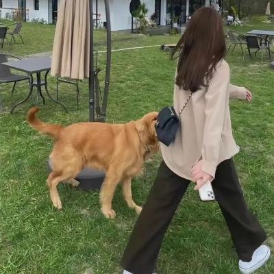 钢的琴